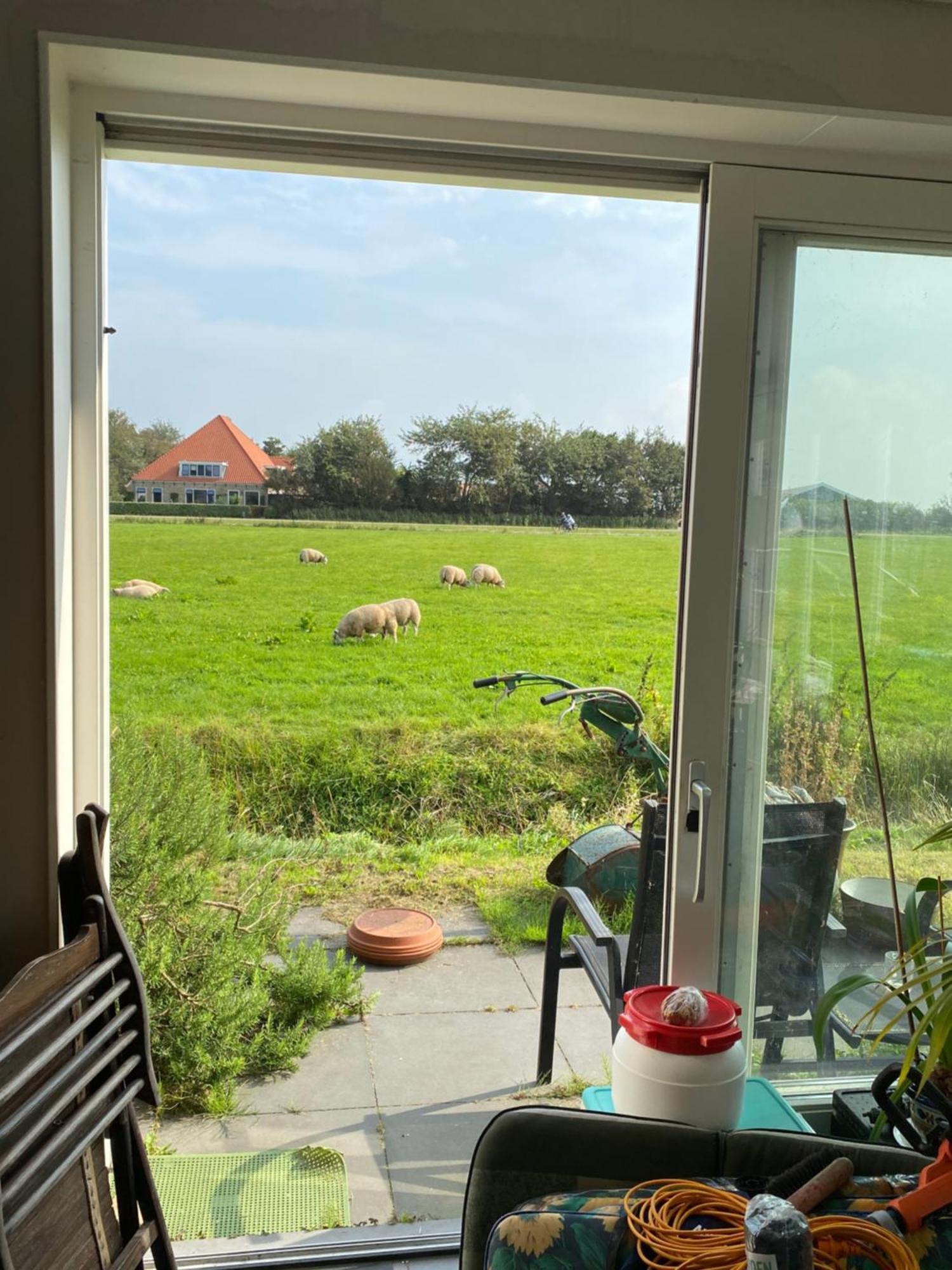 Oomes Huus Haestens And Koffie Den Hoorn  Eksteriør billede