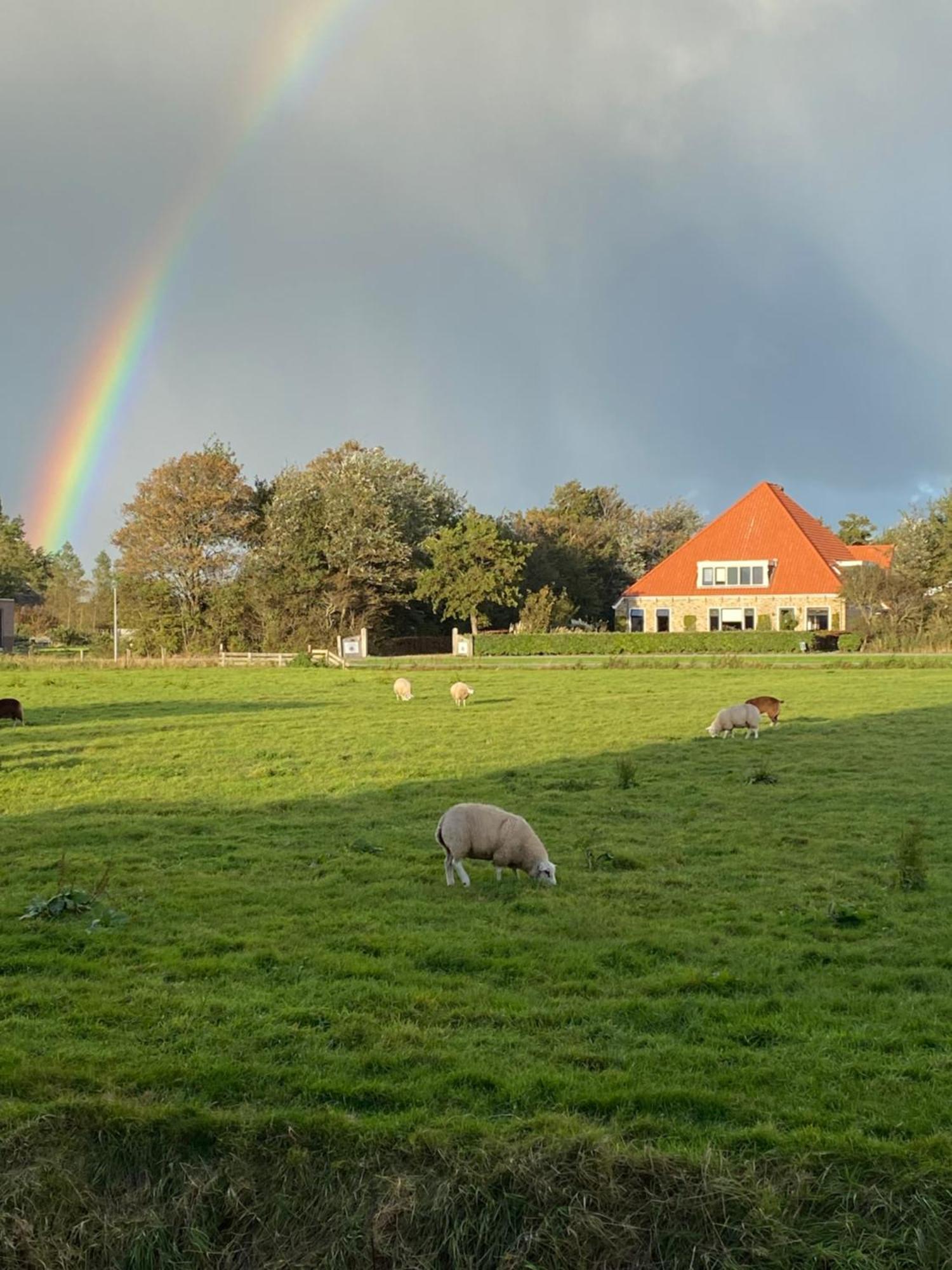 Oomes Huus Haestens And Koffie Den Hoorn  Eksteriør billede
